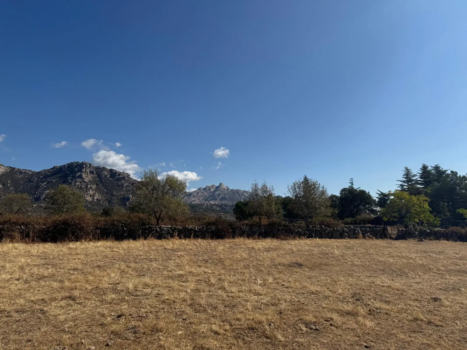 Golden meadow and dry-stone wall below the granite Sierra de Guadarrama